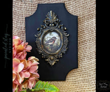 Load image into Gallery viewer, Ornamental Trio of Frames set-FW22
